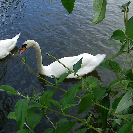Casa de hóspedes La Roseliere