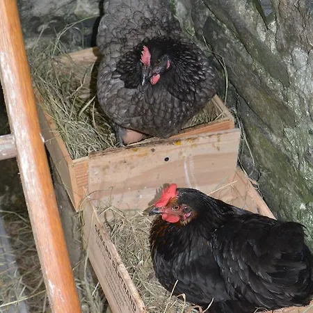 Casa de hóspedes La Roseliere 2*