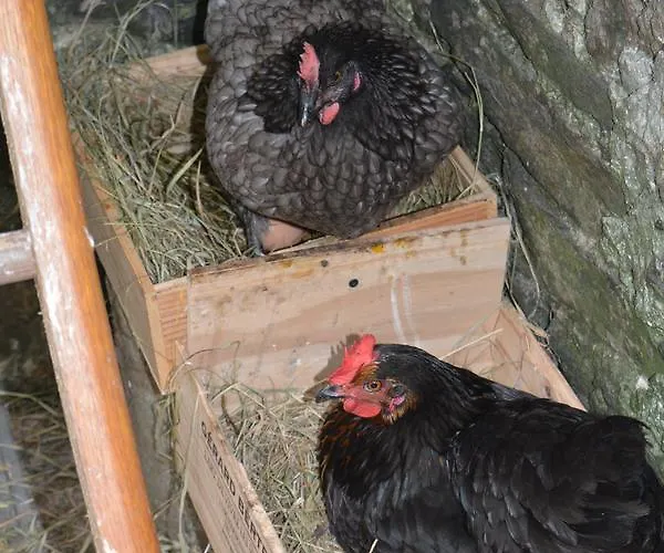 Casa de hóspedes La Roseliere 2*