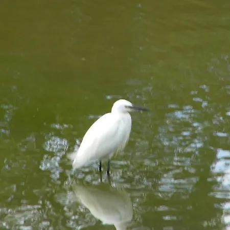 La Roseliere Pensjonat Carentan