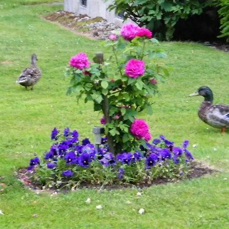 La Roseliere Carentan