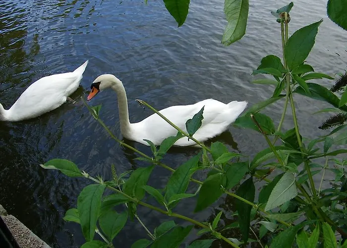 Guest house La Roseliere