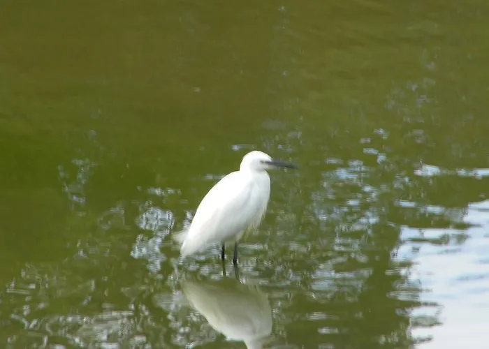 La Roseliere Guest house Carentan
