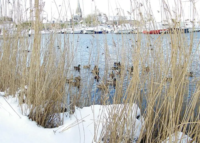 La Roseliere Guest house