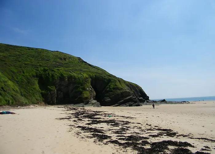 Guest house La Roseliere 2*