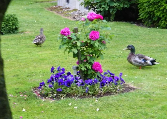 La Roseliere Carentan